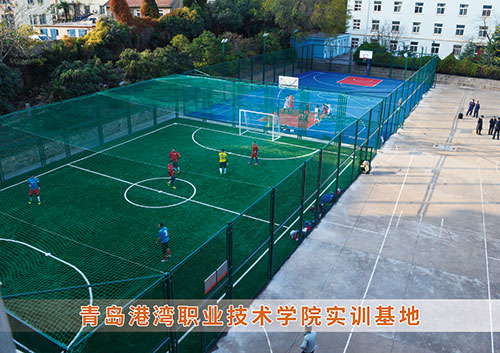 ?九游娱乐Nineame官方网站體育為青島港灣職業(yè)技術學院打造健身實訓基地